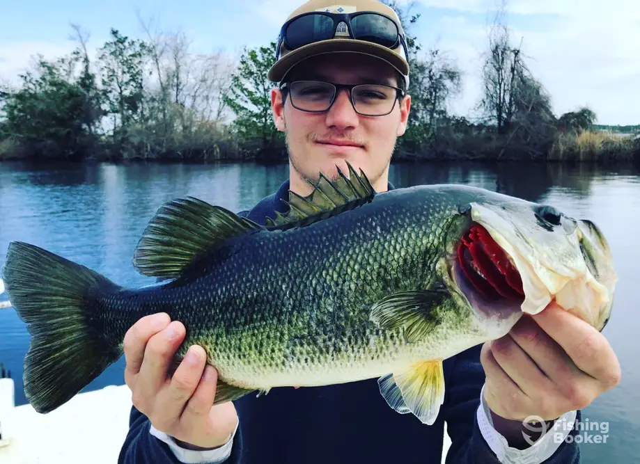 NC Inshore Fishing Charters charter image 5