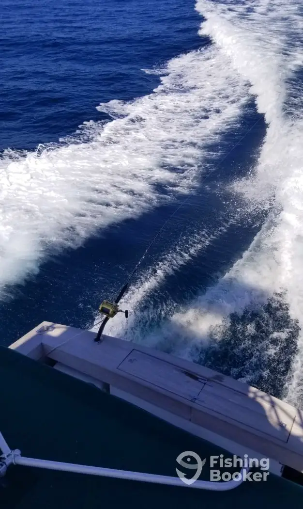 Fish Whistle Chartering charter image 2