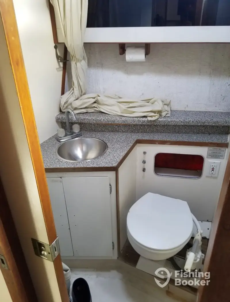 Fish Whistle Chartering charter image 3