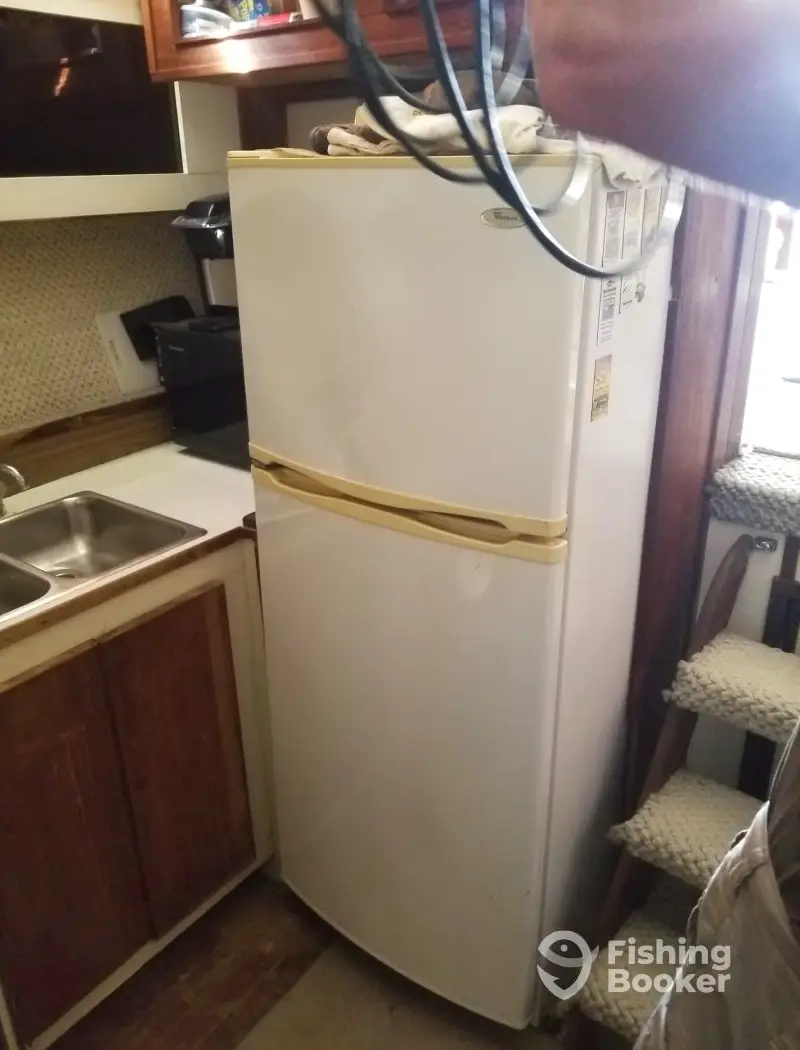 Fish Whistle Chartering charter image 4