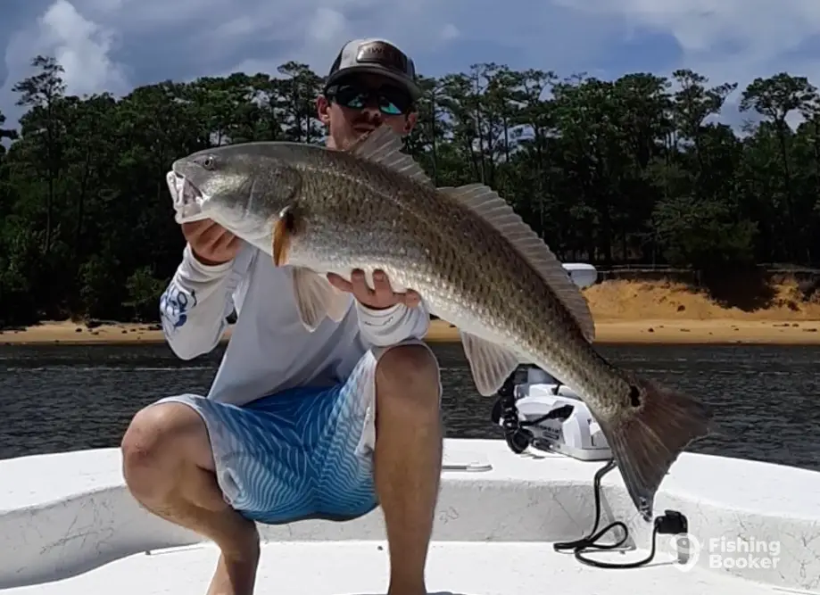 Grandslam Inshore Fishing Charters charter image 3