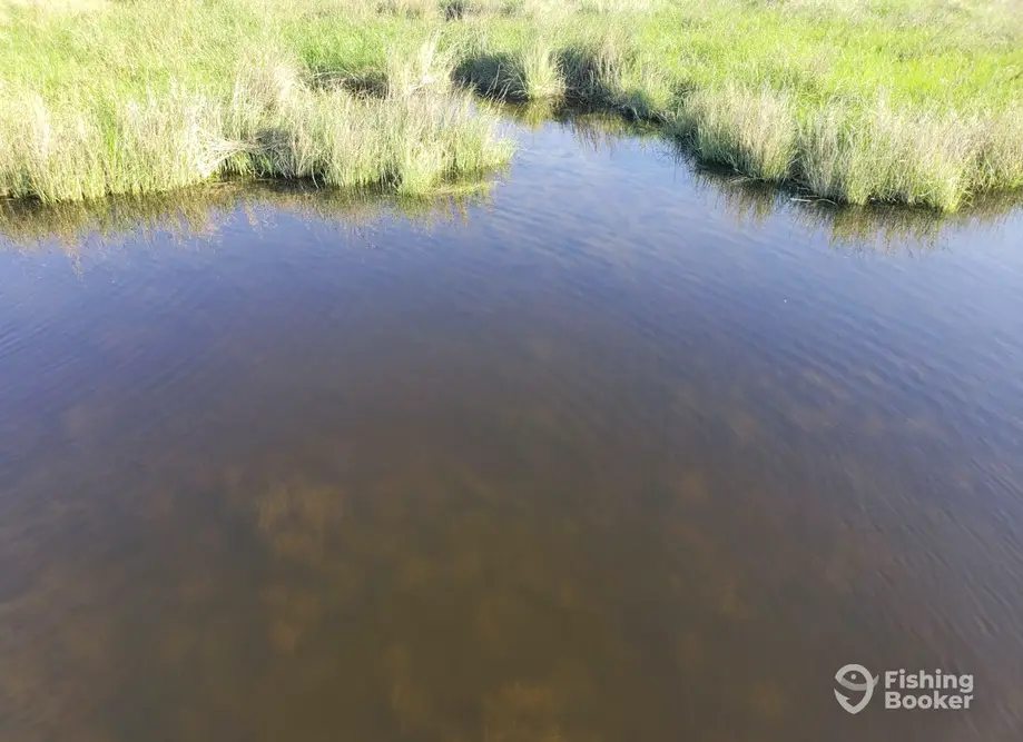 Kids Fishing 101 charter image 3