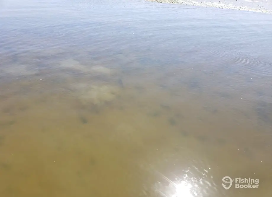 Kids Fishing 101 charter image 4