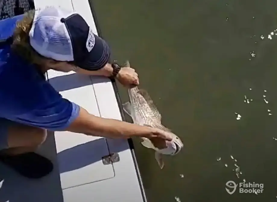 Kids Fishing 101 charter image 5