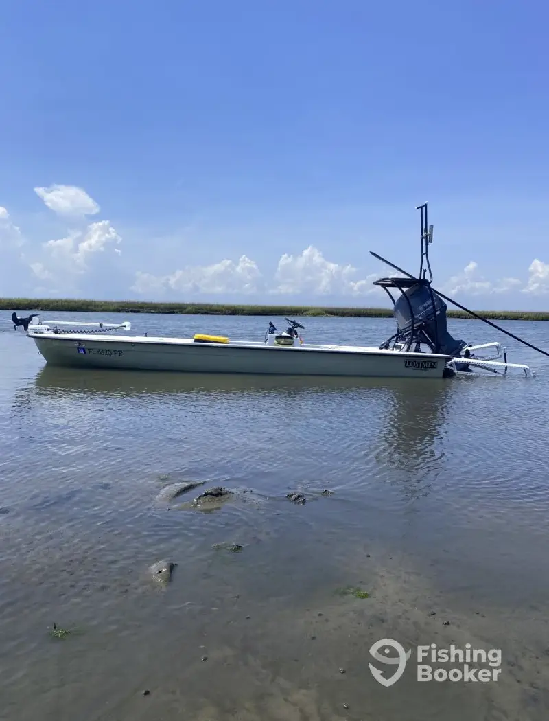 charter image 6