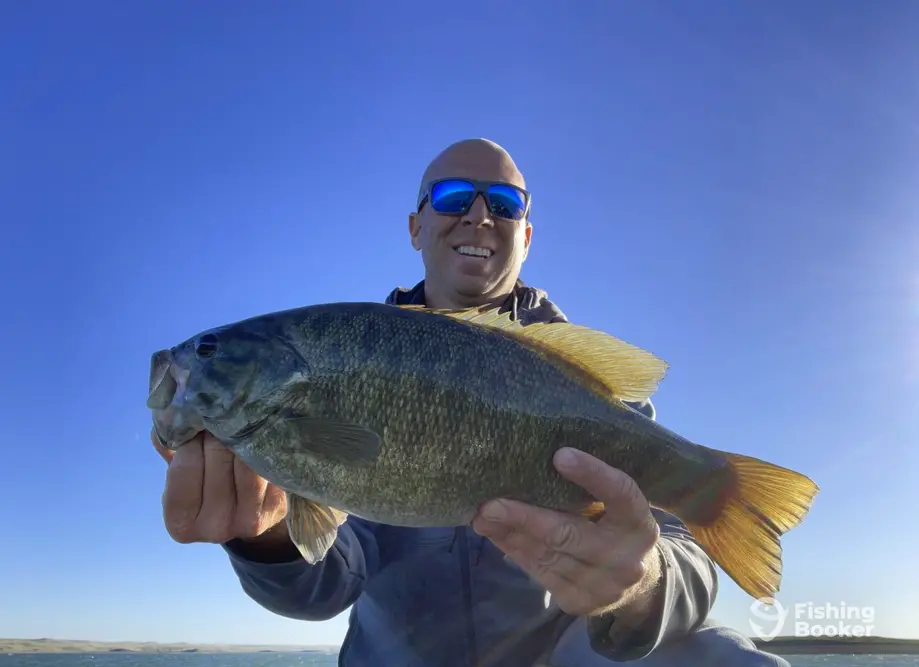 Quality Bass Outfitters charter image 2