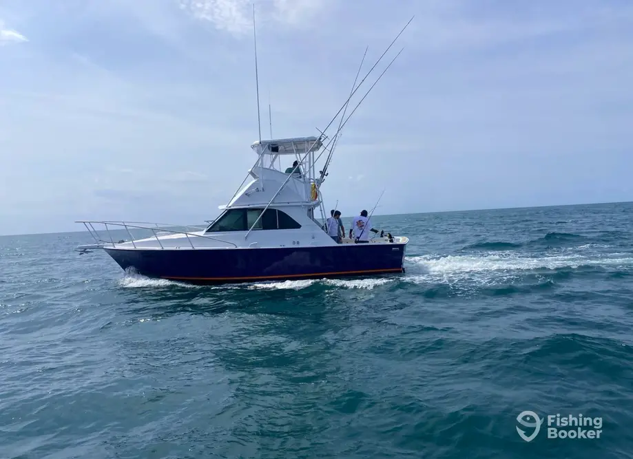 FoxSea Lady Charters