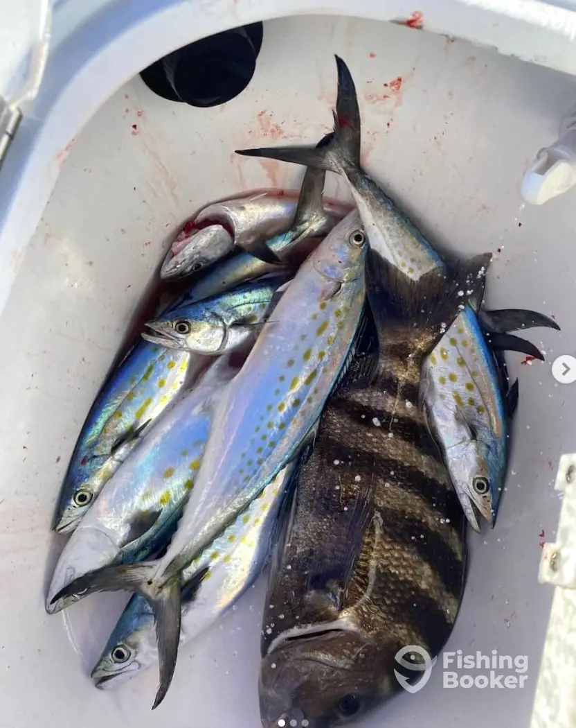 Sea Legs Charters and Marine charter image 2