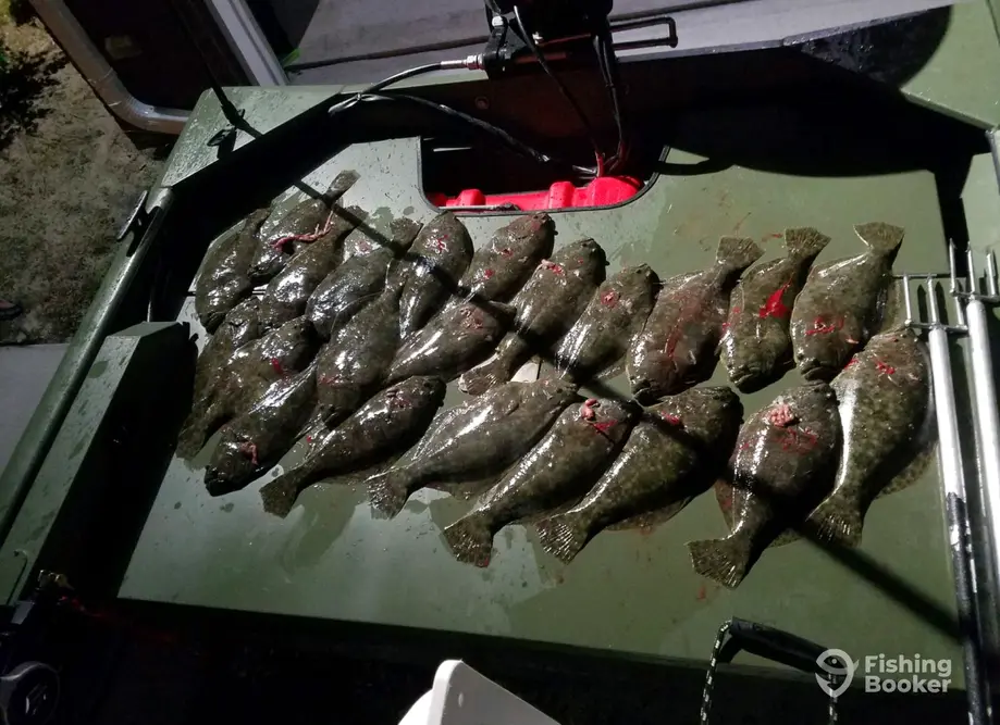 Pudd'nHead Charters LLC charter image 5