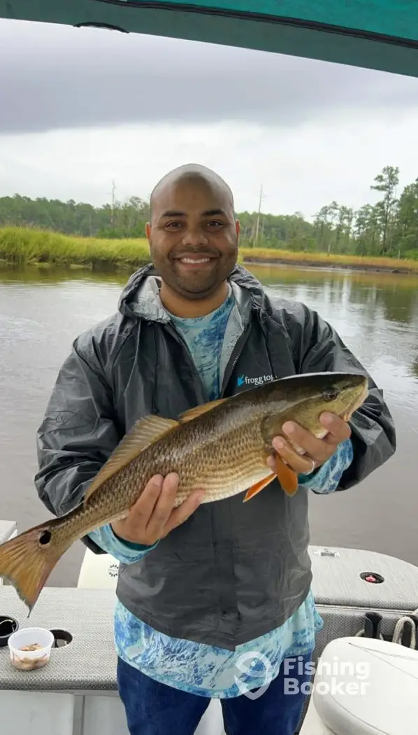 The Gator Hole Country Store and Tackle