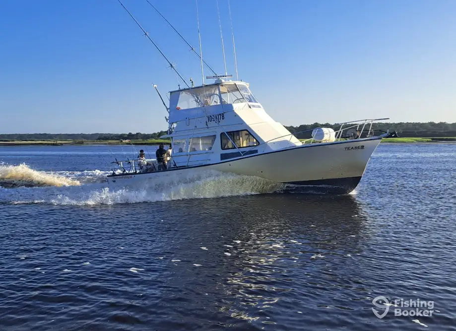 Teaser 2 charter image 2