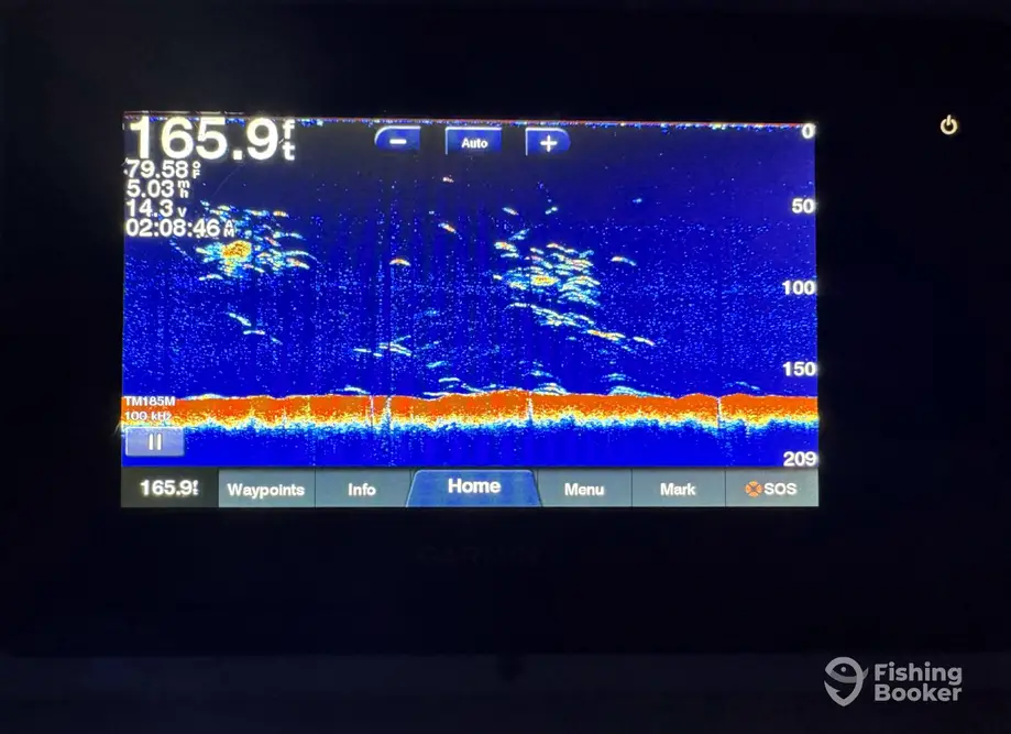 Catch and Cruise NC charter image 2