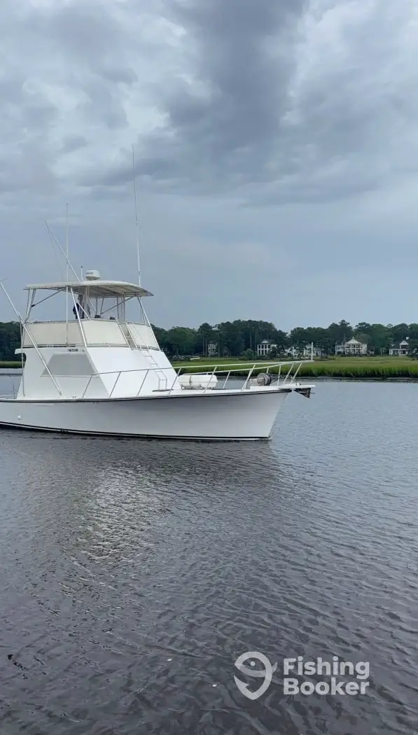 Calabash Fishing Fleet – Island Girl charter image 2