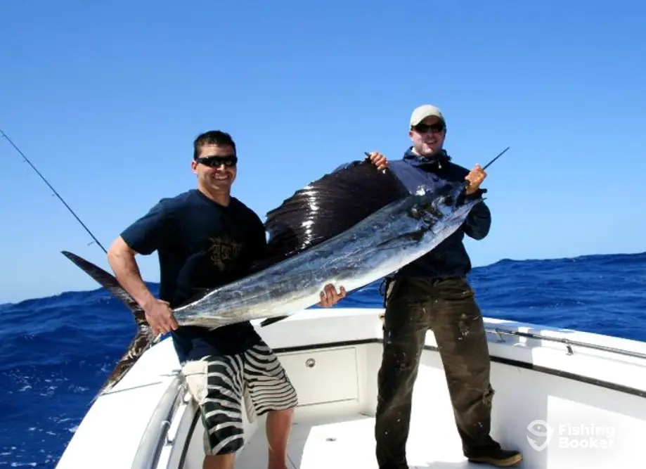 charter image 2