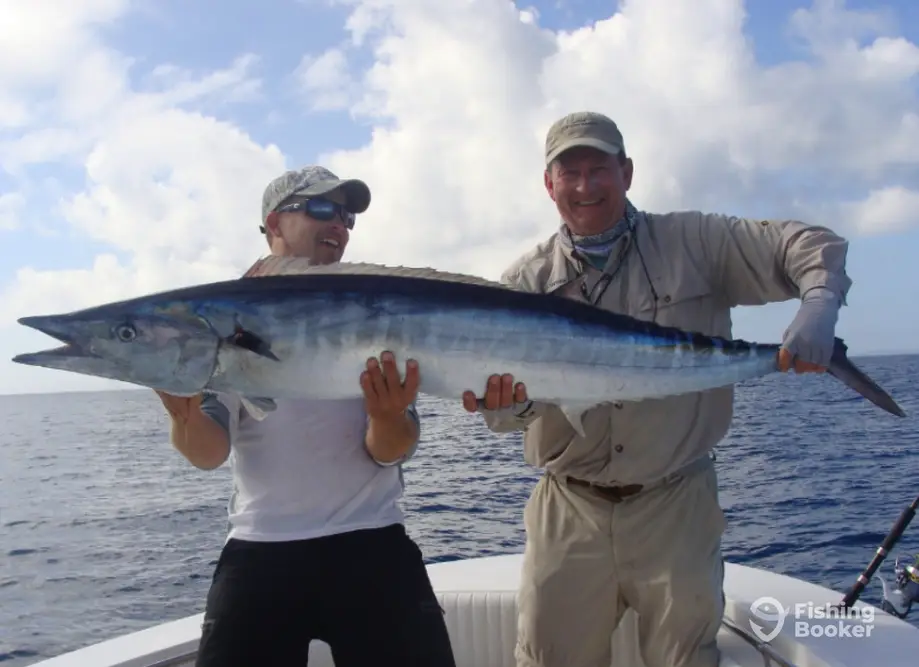 charter image 3