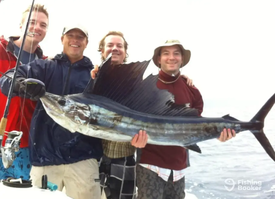 charter image 5