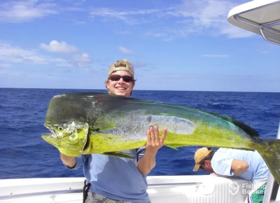 charter image 6