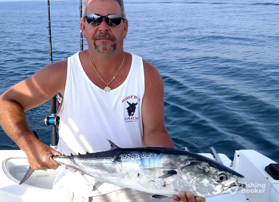 Leverdrag Charters charter image 5