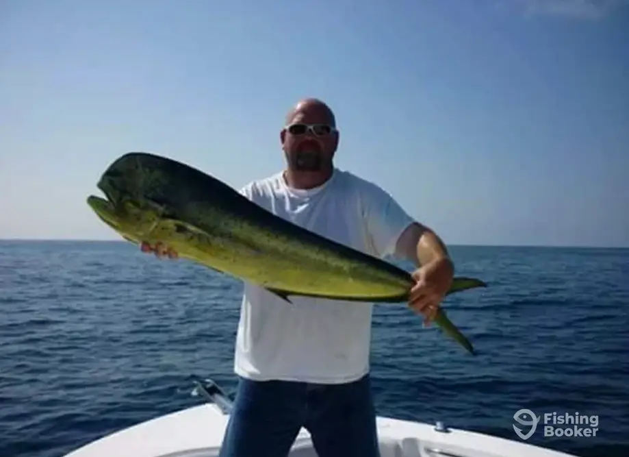 Leverdrag Charters charter image 6