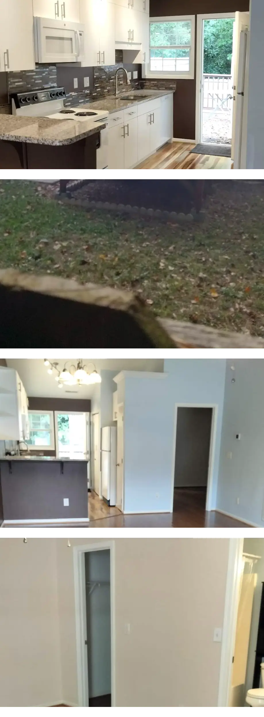 Darling open concept getaway in the hear...